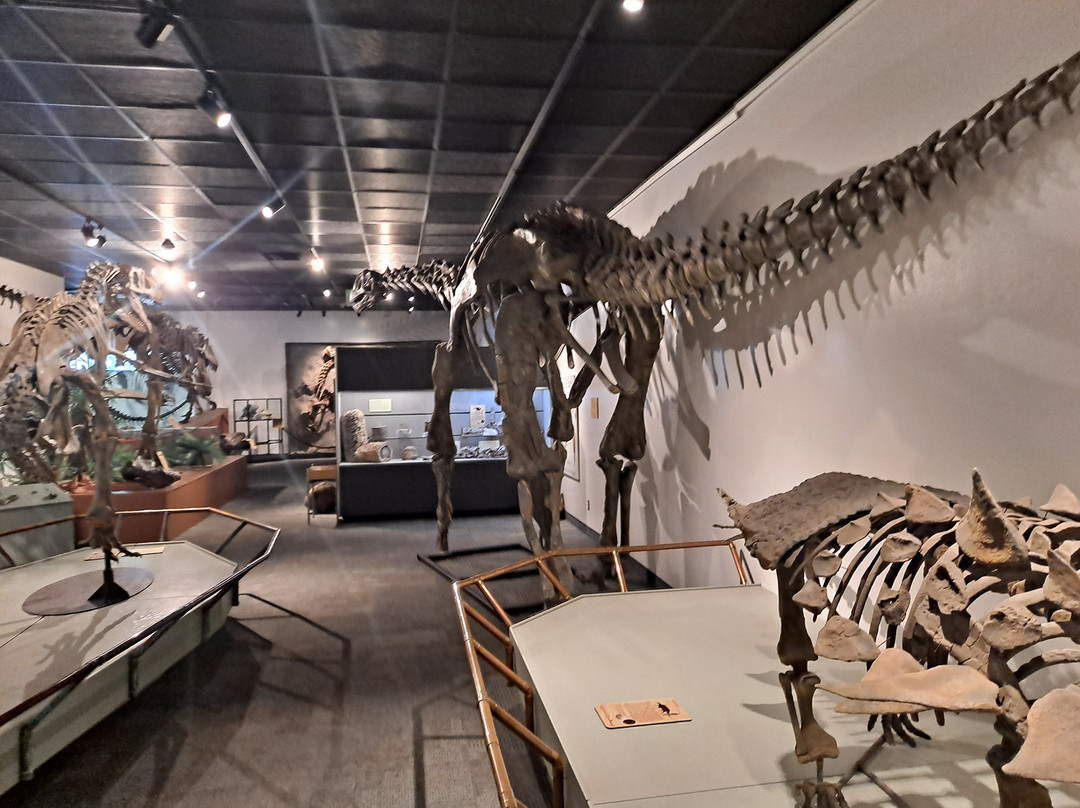 BYU Museum of Paleontology-普若佛必去景点