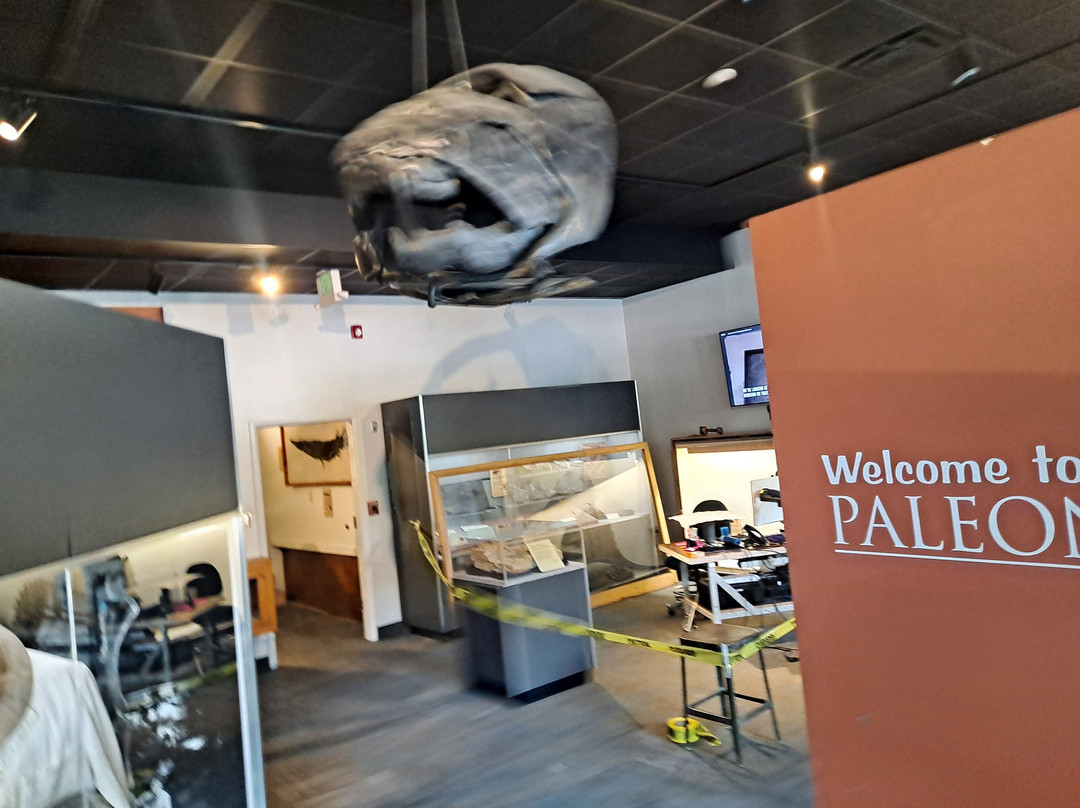BYU Museum of Paleontology-普若佛必去景点