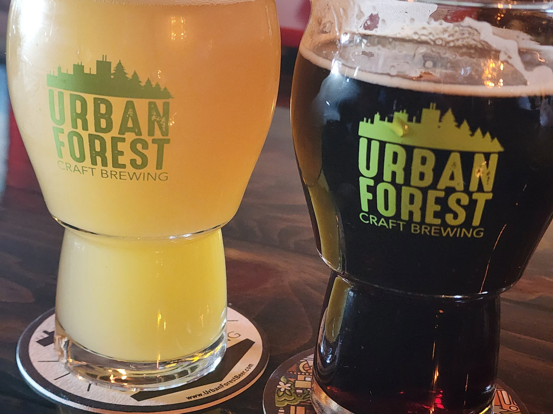 Urban Forest-罗克福德必去景点