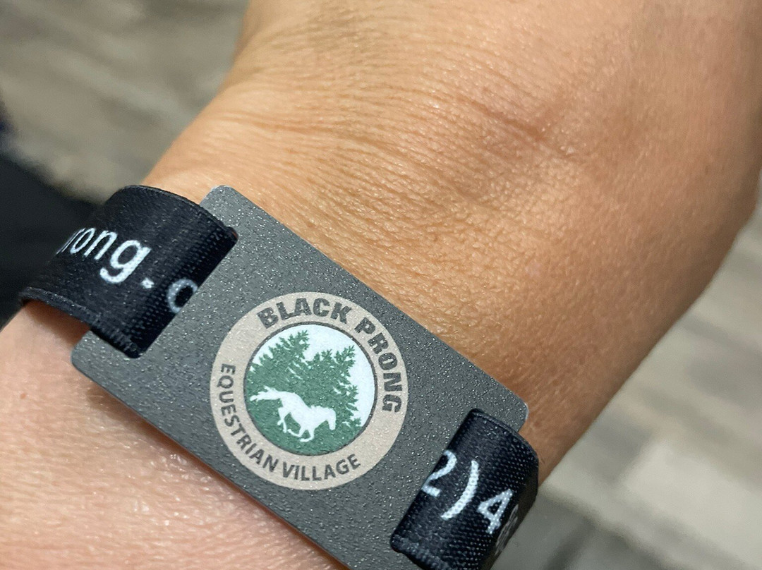 Black Prong Resort主图