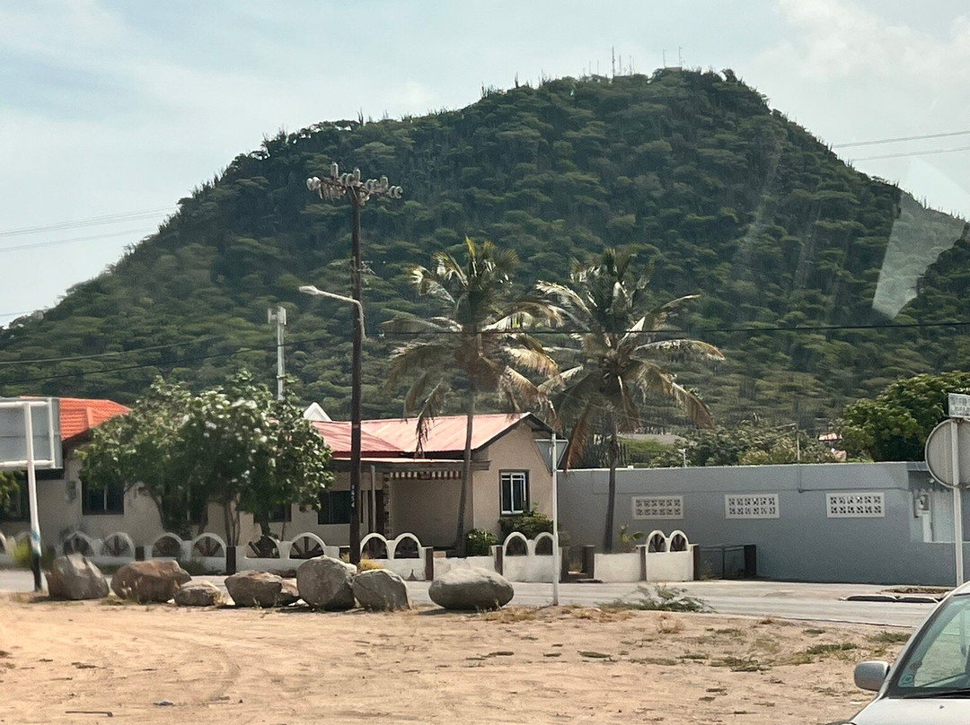 HF Tours & Transfers Aruba-奥腊涅斯塔德必去景点