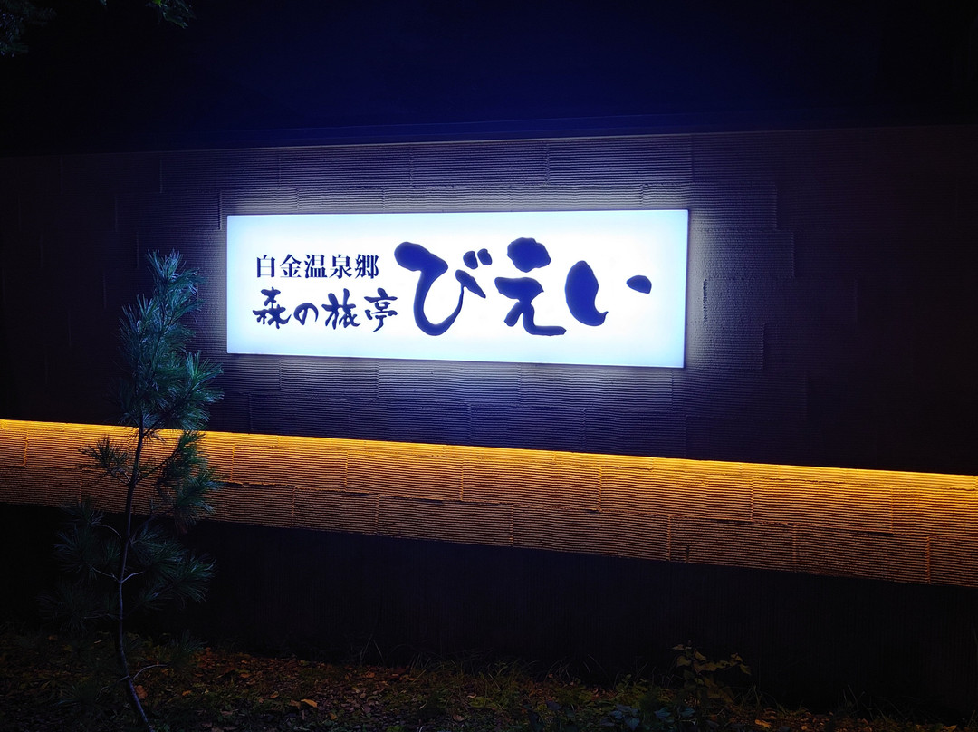 美瑛主图