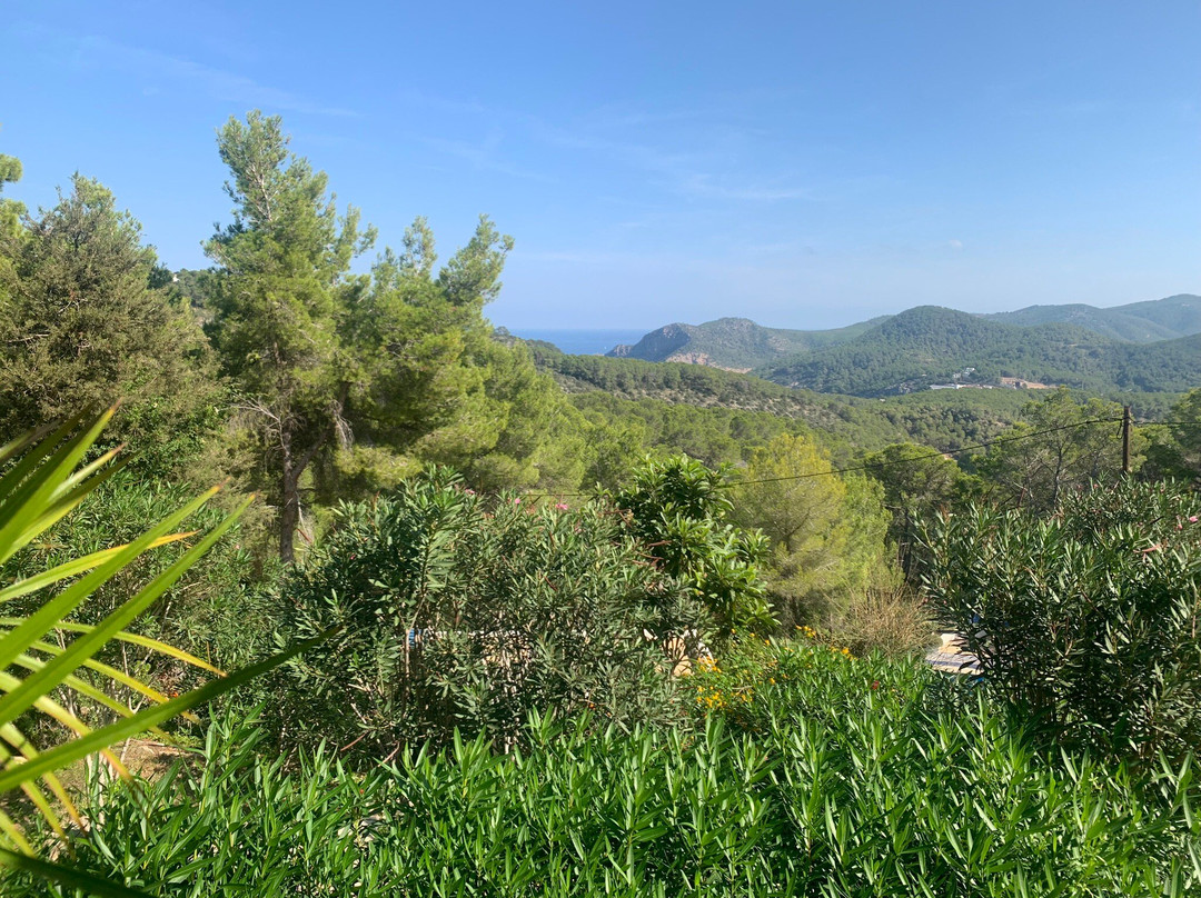 Cala Codolar景点图片
