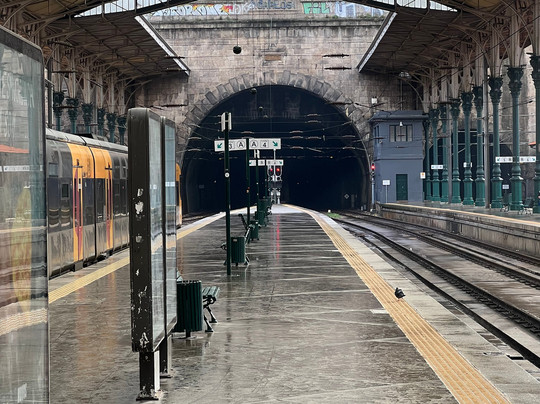 Vinicius Otaviano - Tour Experiences-波尔图必去景点