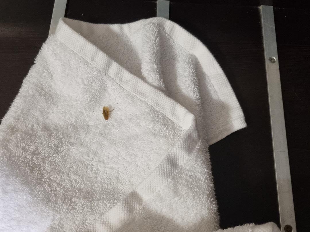 Wine Country Motor Inn主图