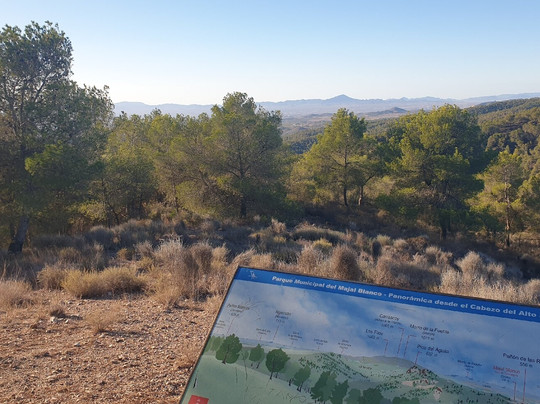 Mirador Cabezo del Alto-Sangonera La Verde必去景点