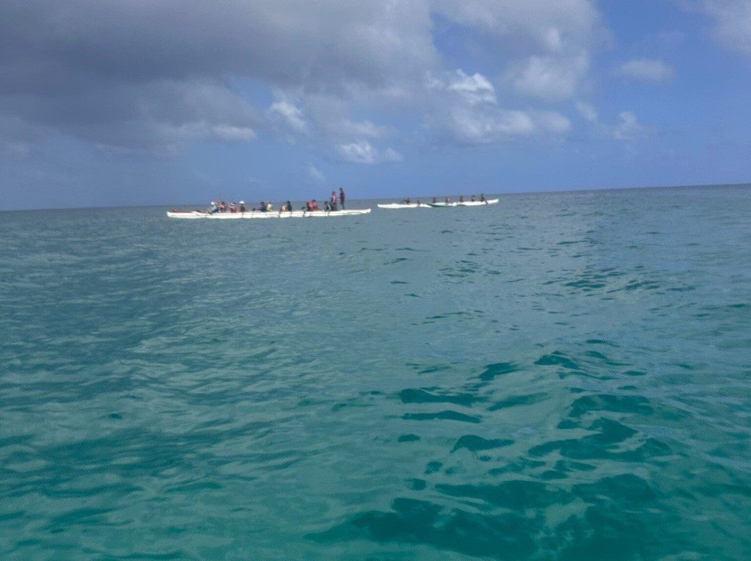 FDino Noronha-费尔南多-迪诺罗尼亚群岛必去景点