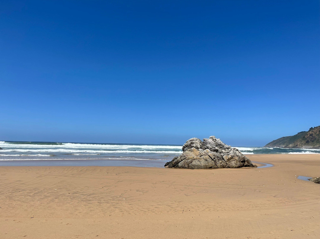 Wilderness Beach-荒野必去景点