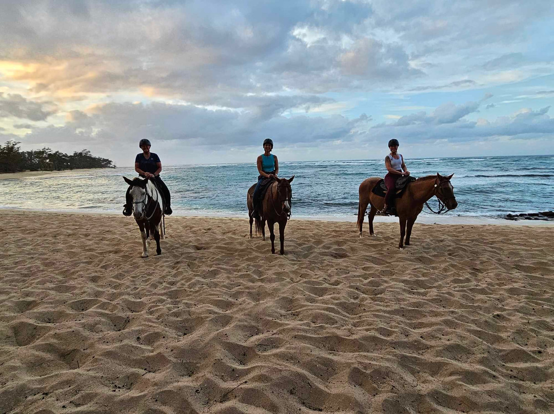 Hawaii Polo Trail Rides-瓦亚禄必去景点