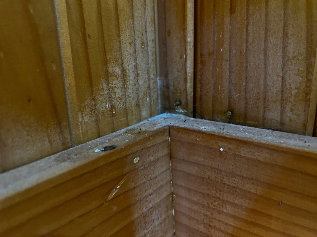 度假村酒店主图