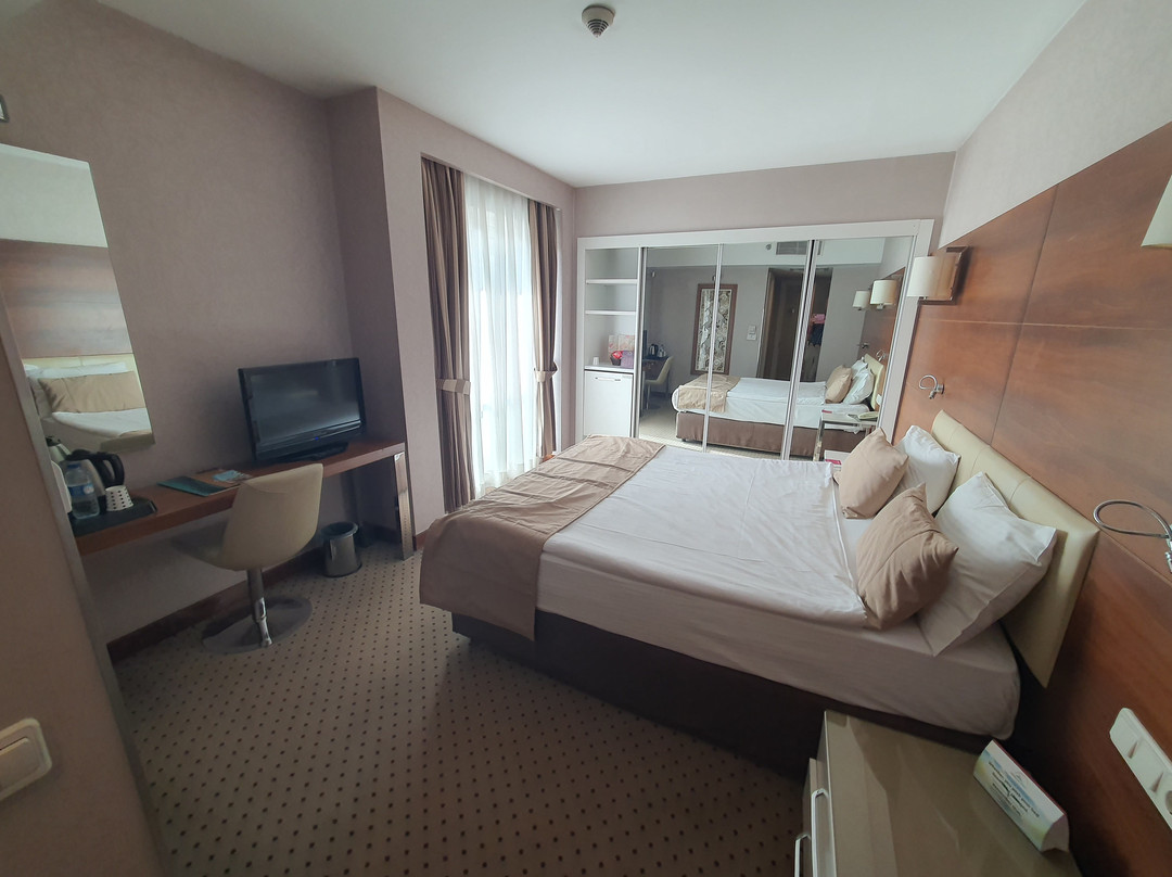 Alba Ankara Hotel主图