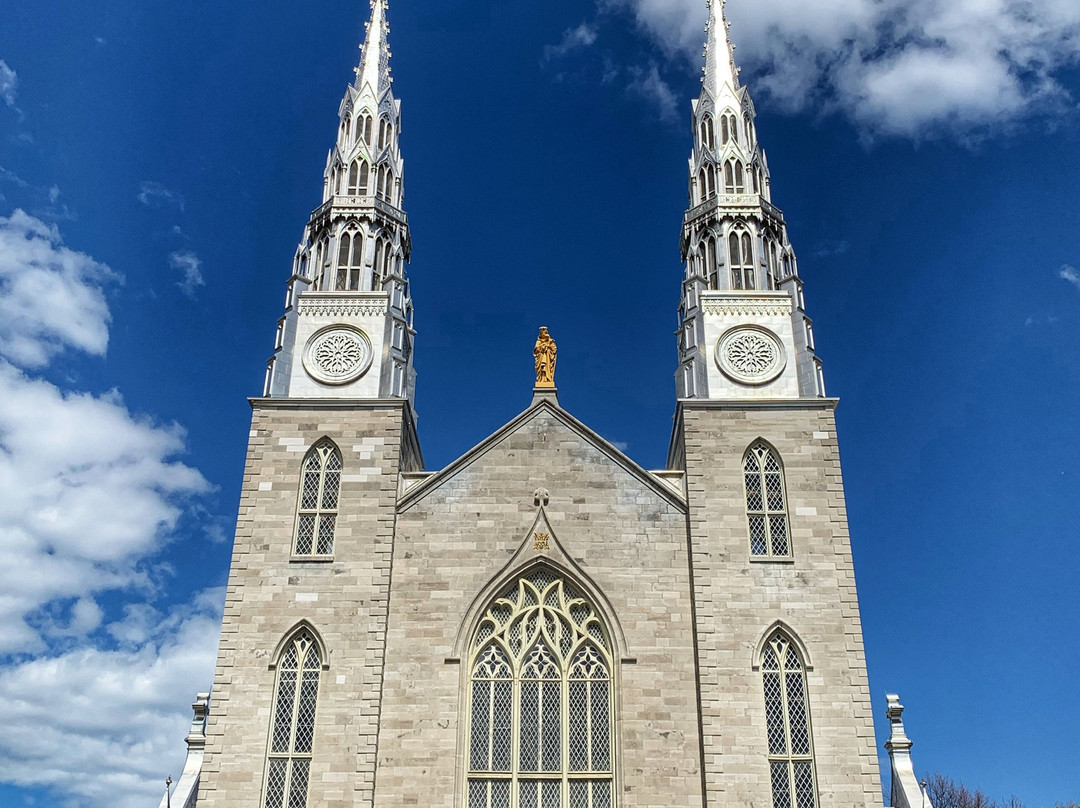 Notre Dame Basilica景点图片