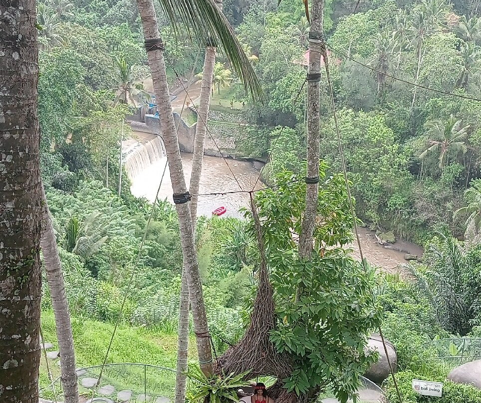 Jungle Swing Bali-佩艳艮必去景点