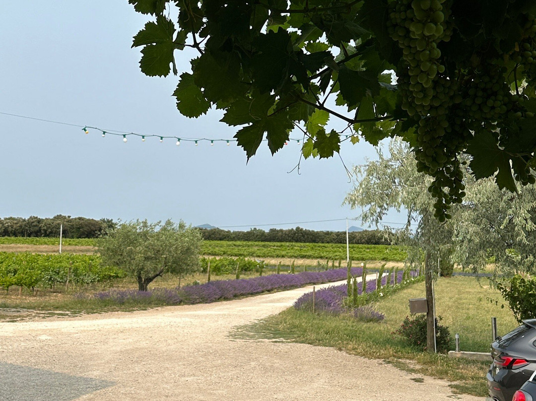 Domaine Les Asseyras景点图片