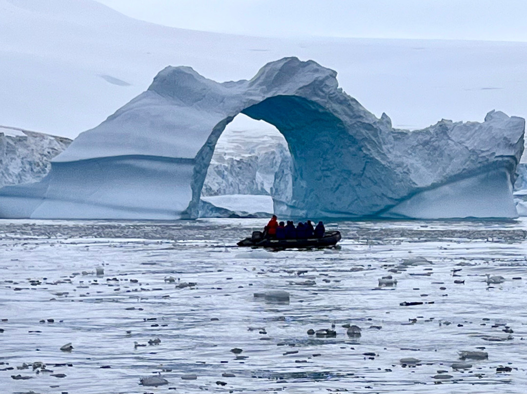 Cierva Cove-Antarctic Peninsula必去景点