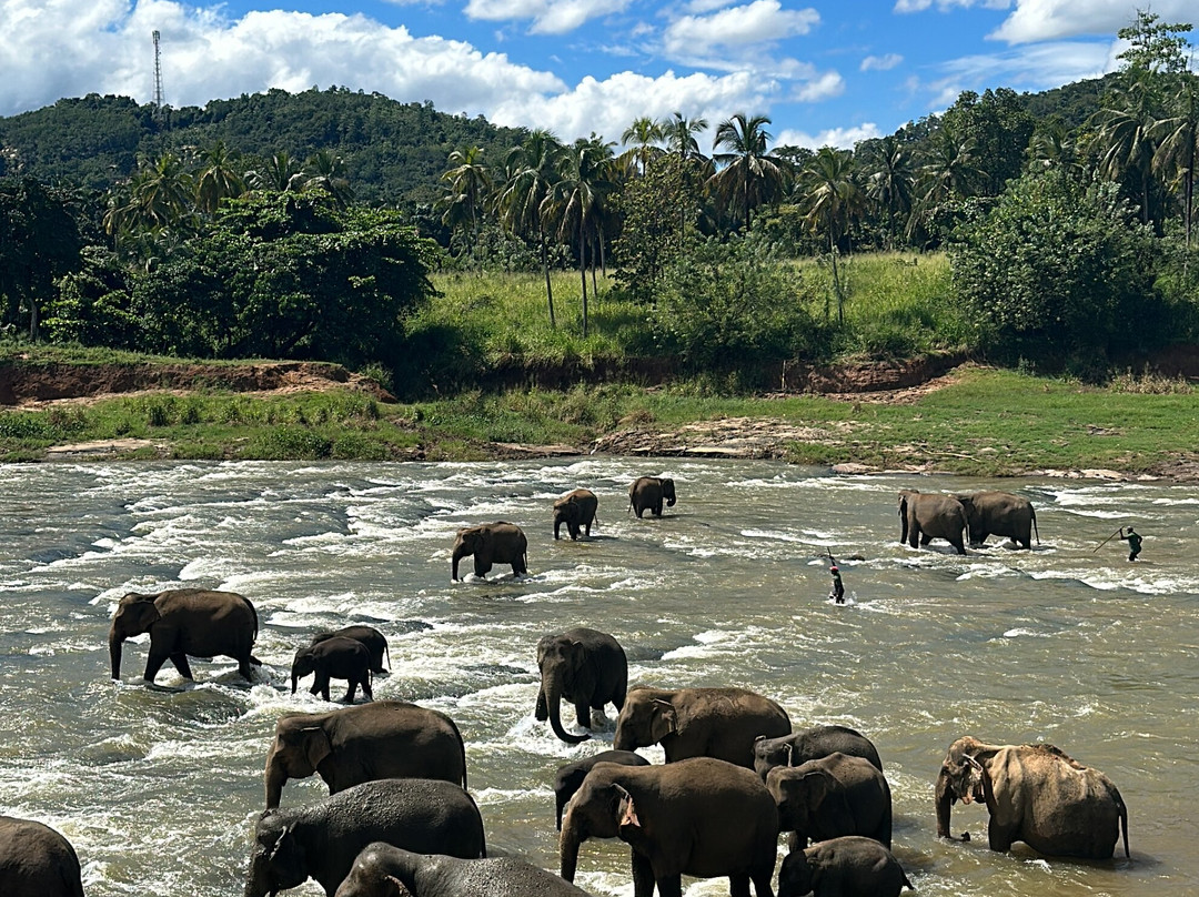 Aloha Sri Lanka (Pvt) Ltd景点图片