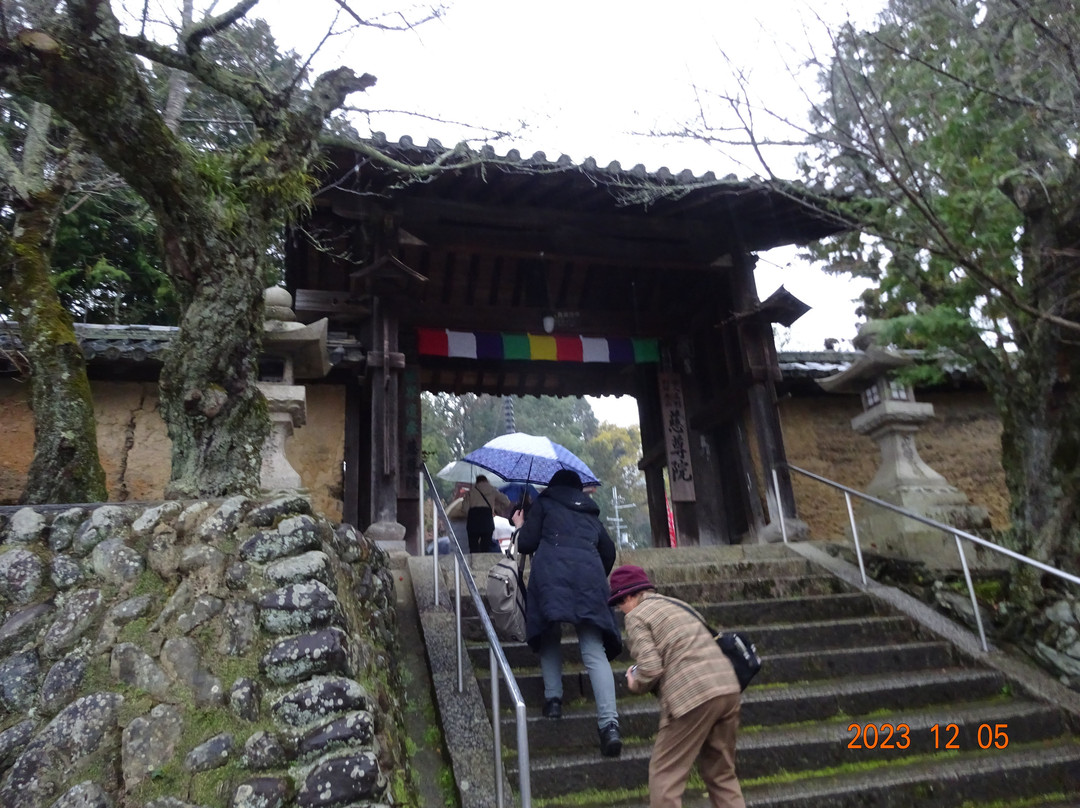 Jison-in Temple-九度山町必去景点