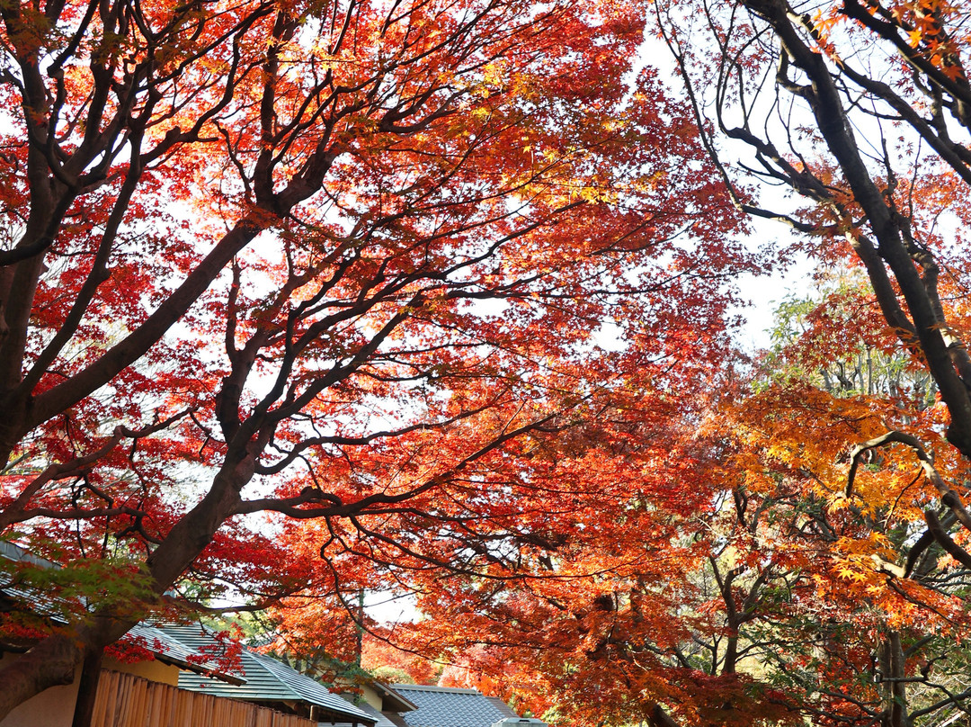 Tojogaoka Historical Park-松户市必去景点