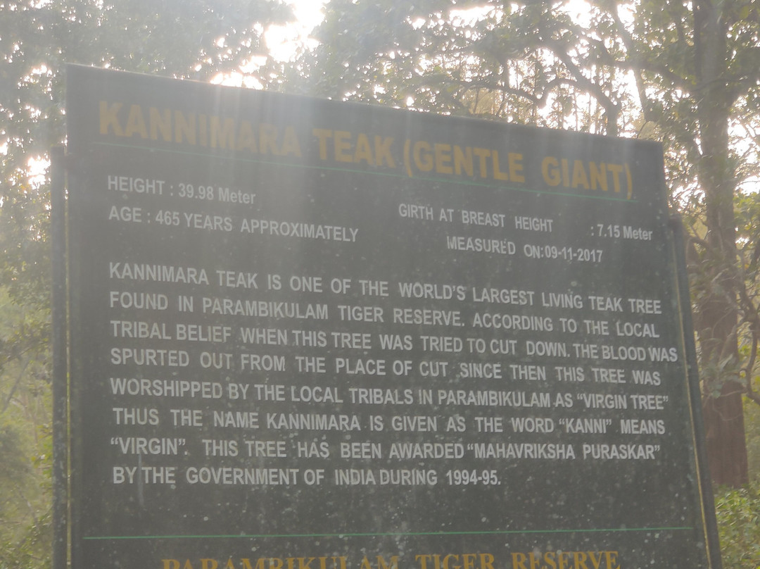 Parambikulam Tiger Reserve-Palakkad必去景点