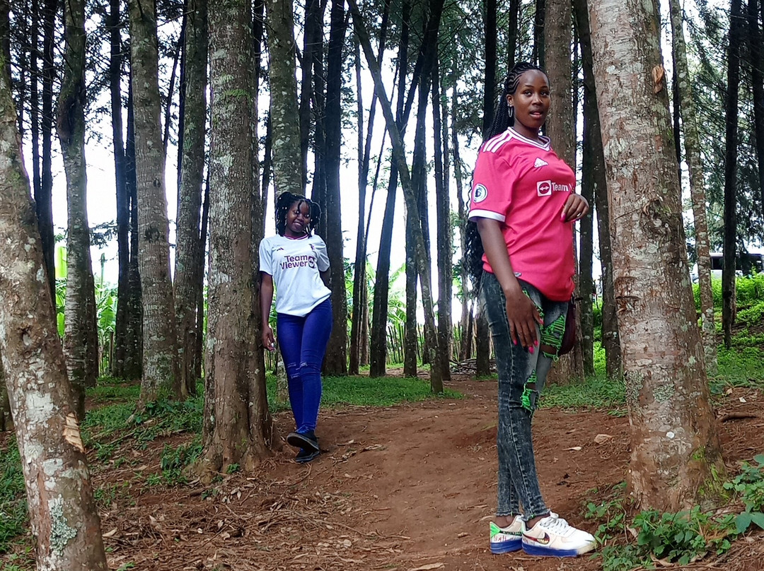 VALLEY ROCKS TOURS-内罗毕必去景点