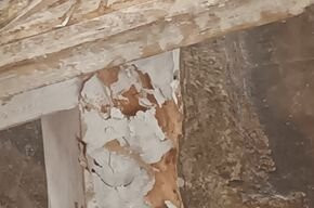 Jumbo Resort Watamu主图