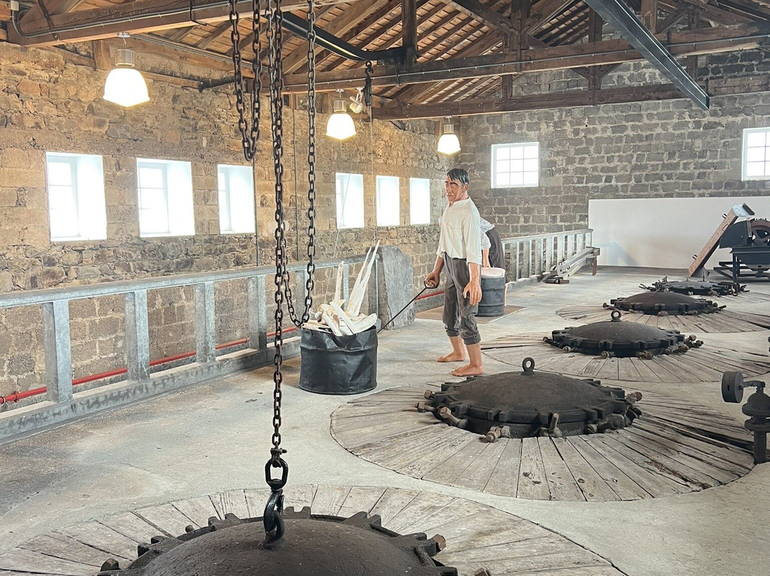 Museu da Fábrica da Baleia do Boqueirão景点图片