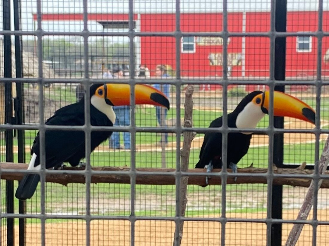 North Texas Safari Park-Bonham必去景点