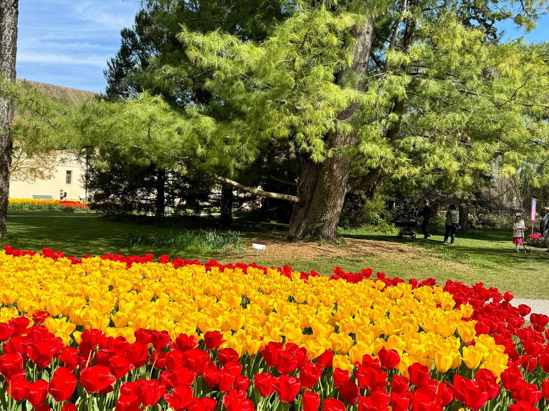 Parc de l'Indépendance-莫尔日必去景点