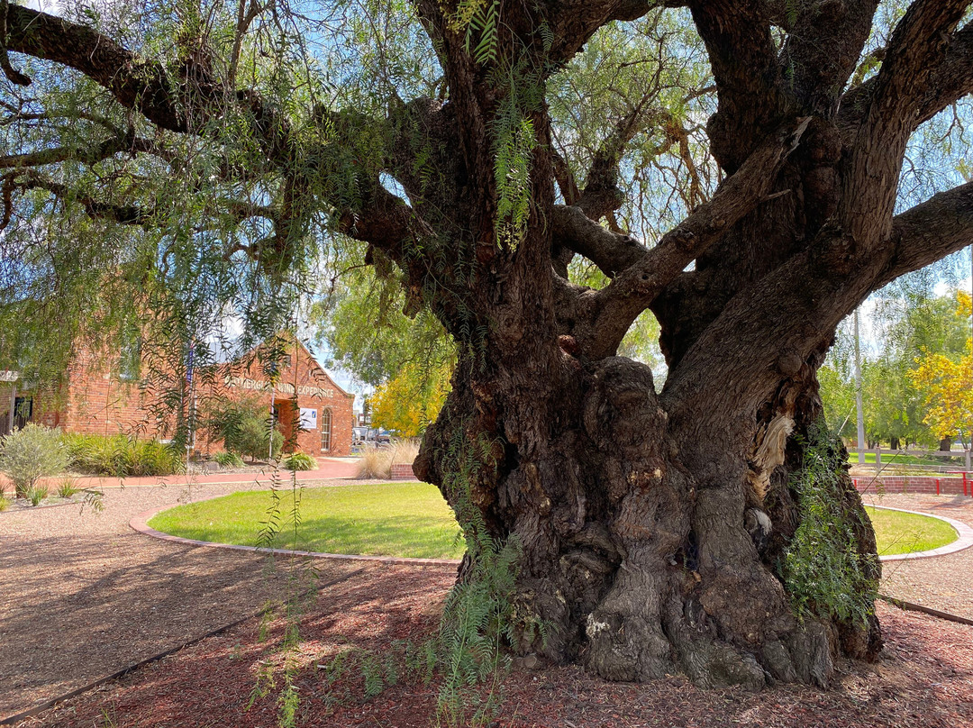 Rutherglen Wine Experience and Visitor Information Centre景点图片