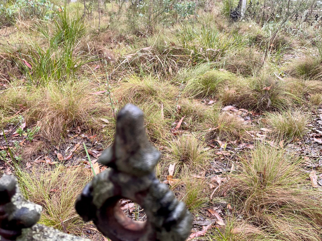 Jamieson Cemetery-Jamieson必去景点