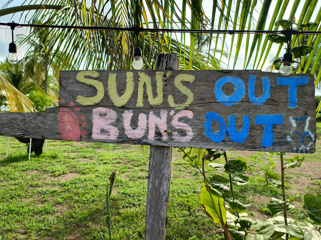 Show Pony Beach Resort主图