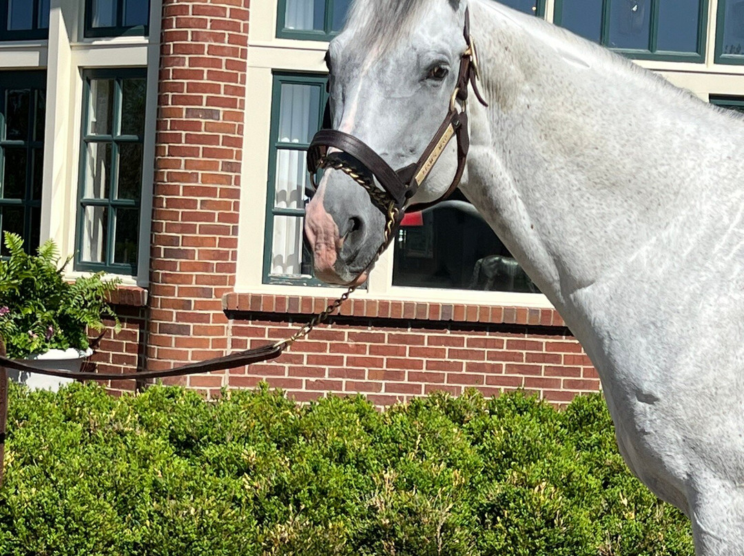 Lane's End-Versailles必去景点