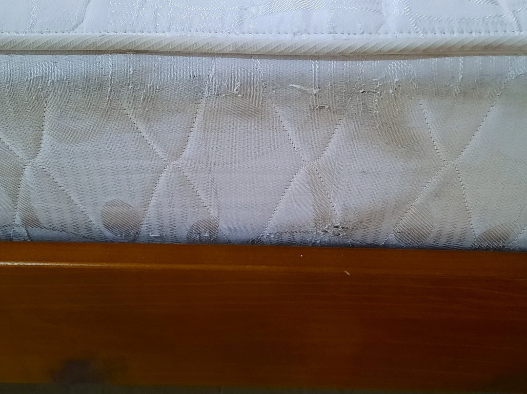 乐园塔韦马尼酒店主图