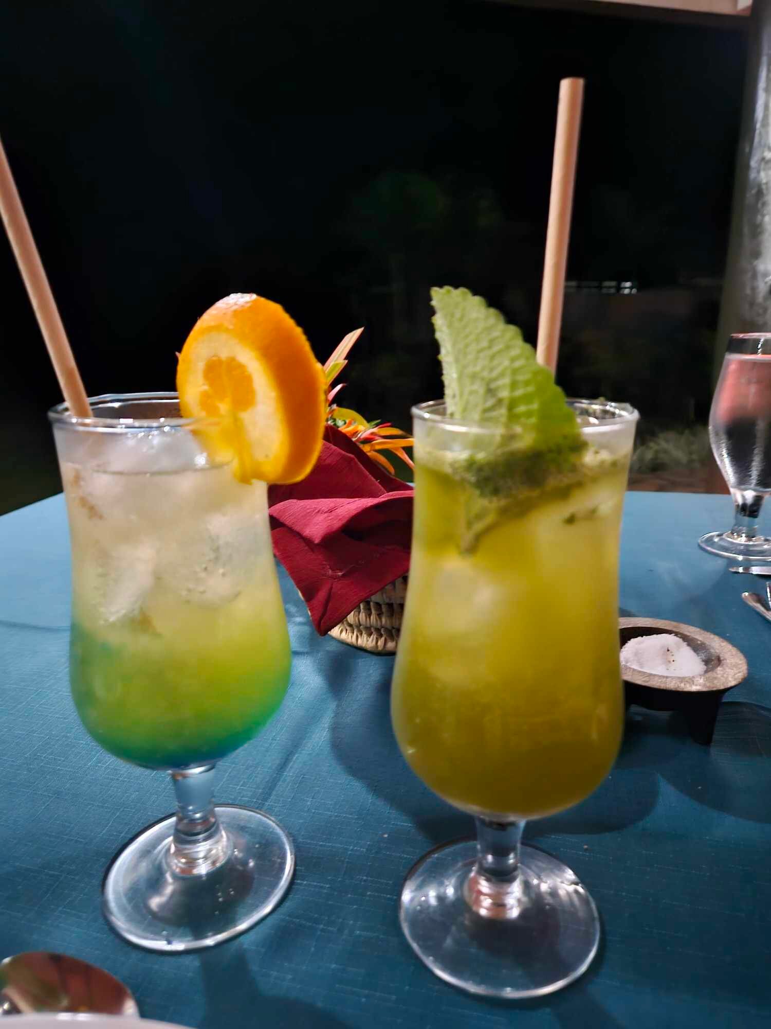 塔韦乌尼岛度假酒店及水疗中心-官方