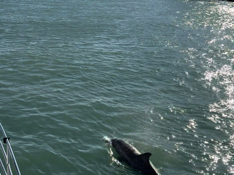 Ziyarah Tours-珀斯必去景点