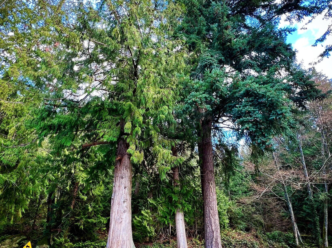 Chuckanut Drive景点图片