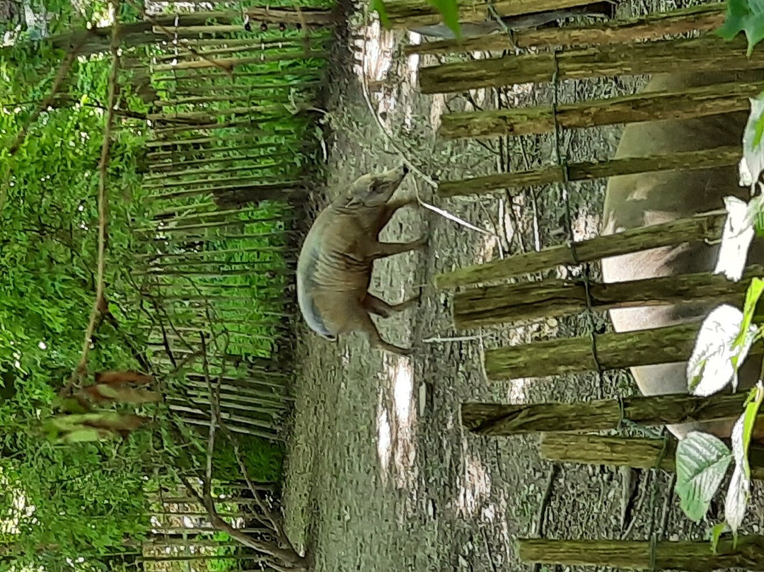 Zoo Wuppertal景点图片