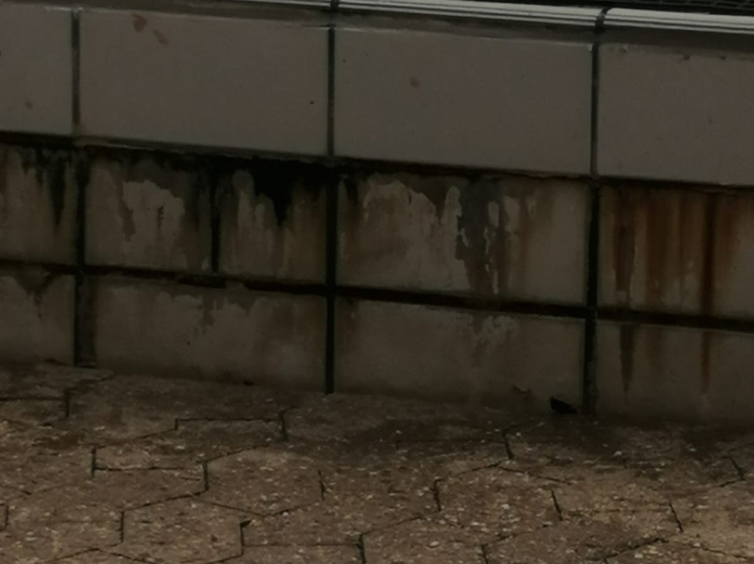 Monte Mare Rheinbach-Rheinbach必去景点