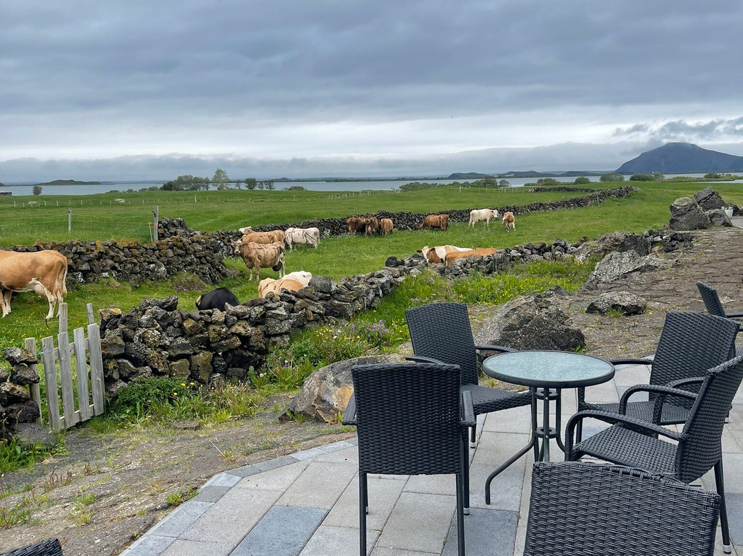 Kristinn Ingi Pétursson-劳加尔必去景点