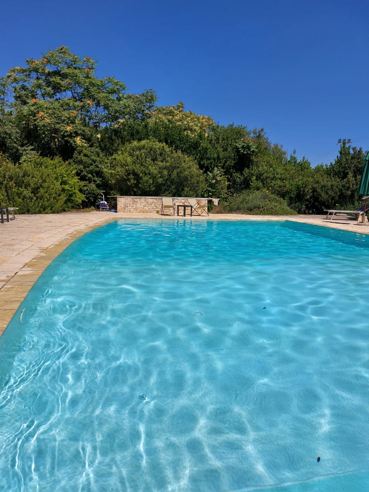 Corte del Camedrio-泳池