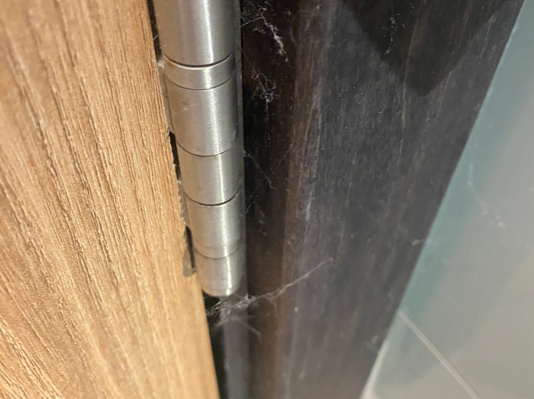 The Warwickshire主图