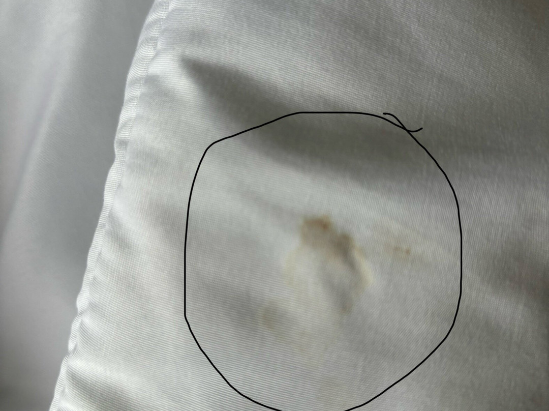 Comfort Suites Ocala North主图