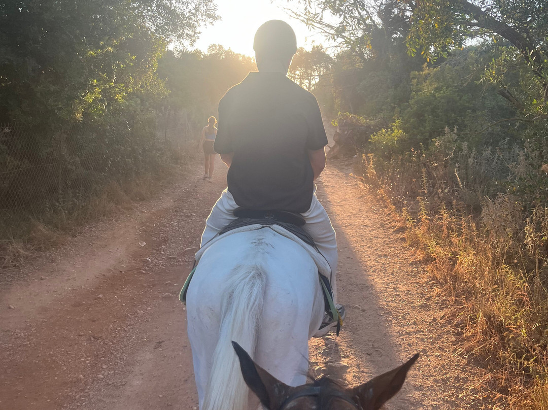 Arena horse riding corfu-Perithia必去景点