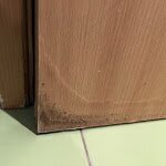 Hotel Forest Beach主图