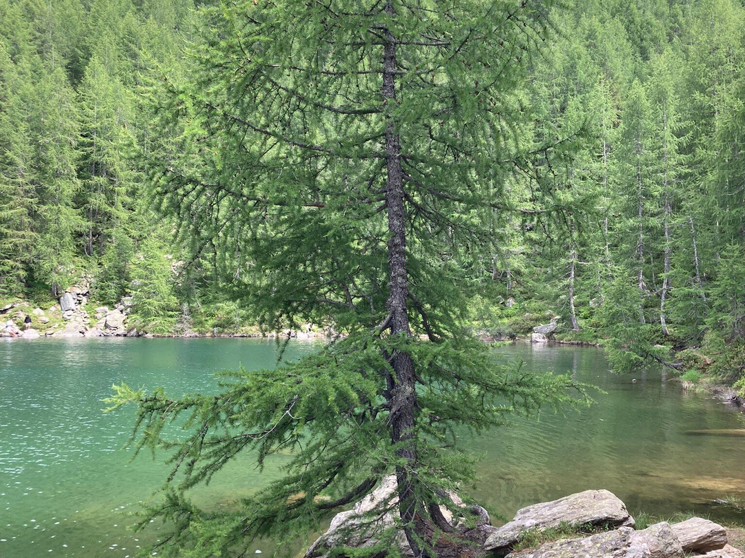 Lago Azzurro景点图片