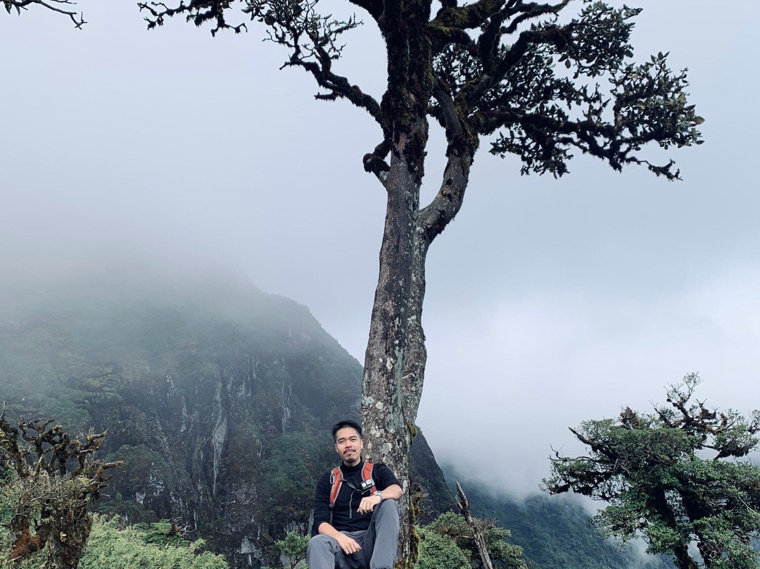 Bach Moc Luong Tu景点图片