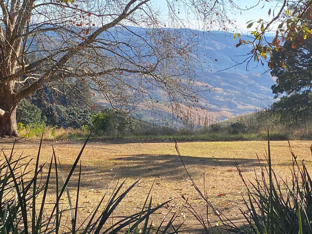 The Buddhist Retreat Centre-Ixopo必去景点