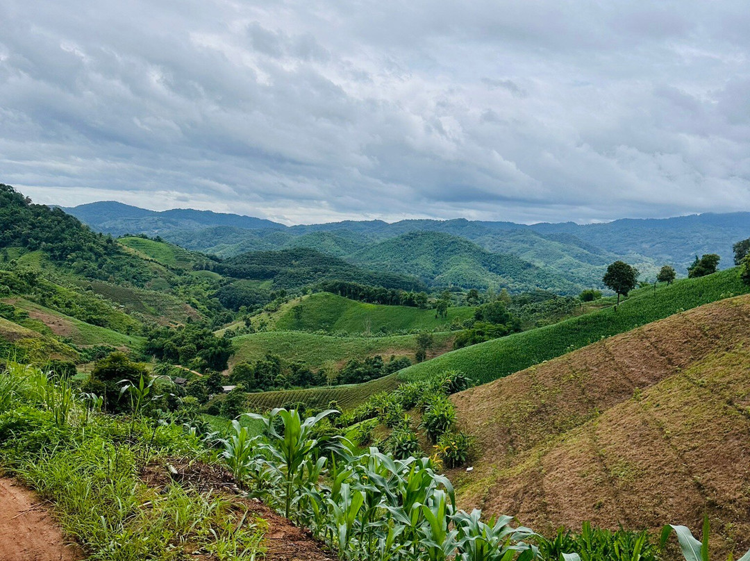 Chiang Rai UTV adventure tours-清莱必去景点