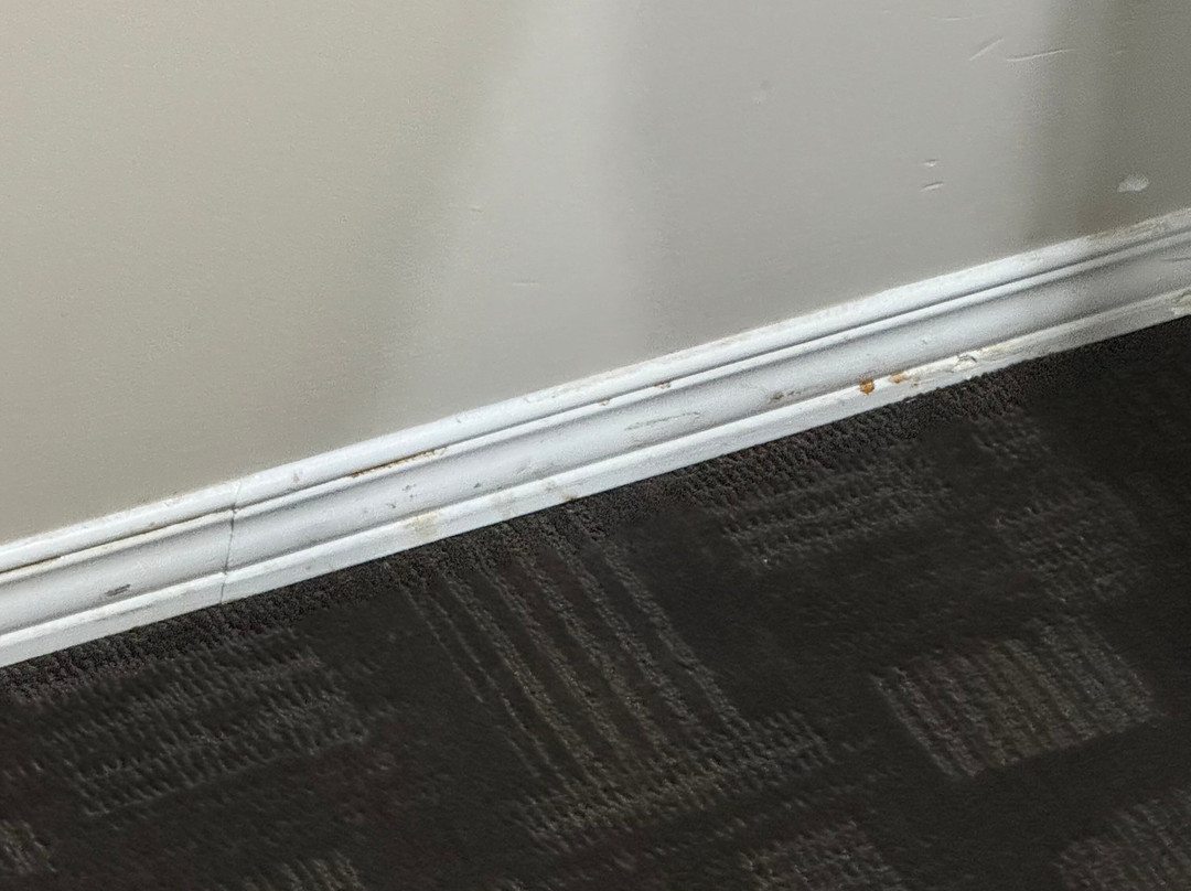 Sandman Hotel & Suites Williams Lake主图