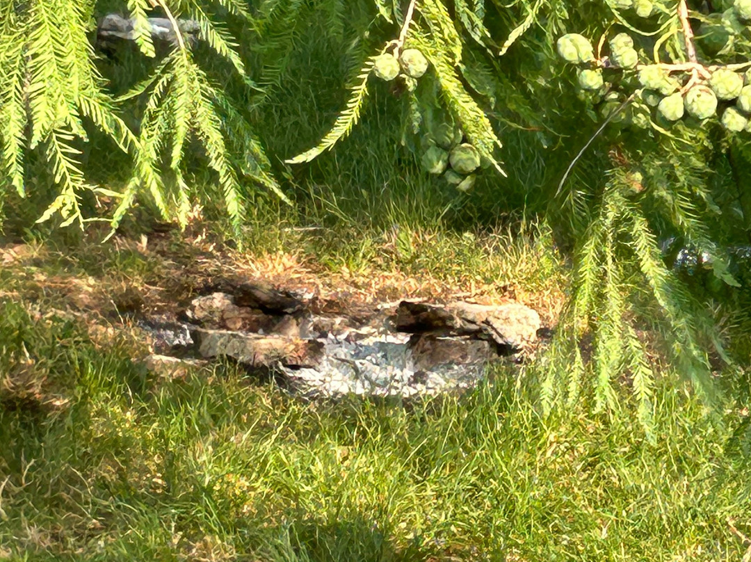 Parco Forlanini-米兰必去景点